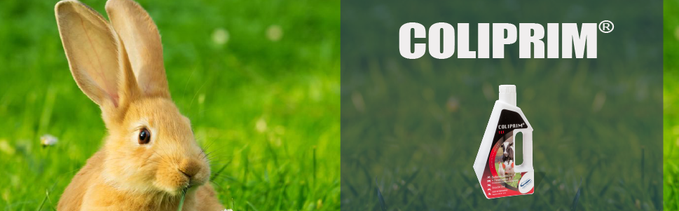 Coliprim-06.png
